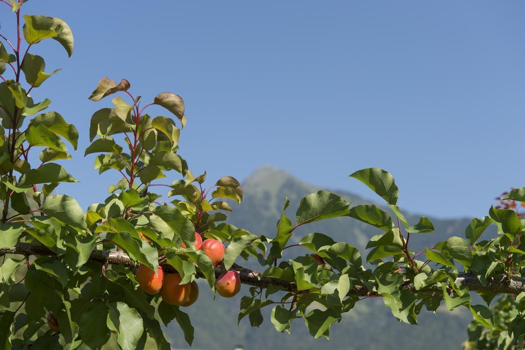 Pension Etschland Dorf Tirol Exterior foto